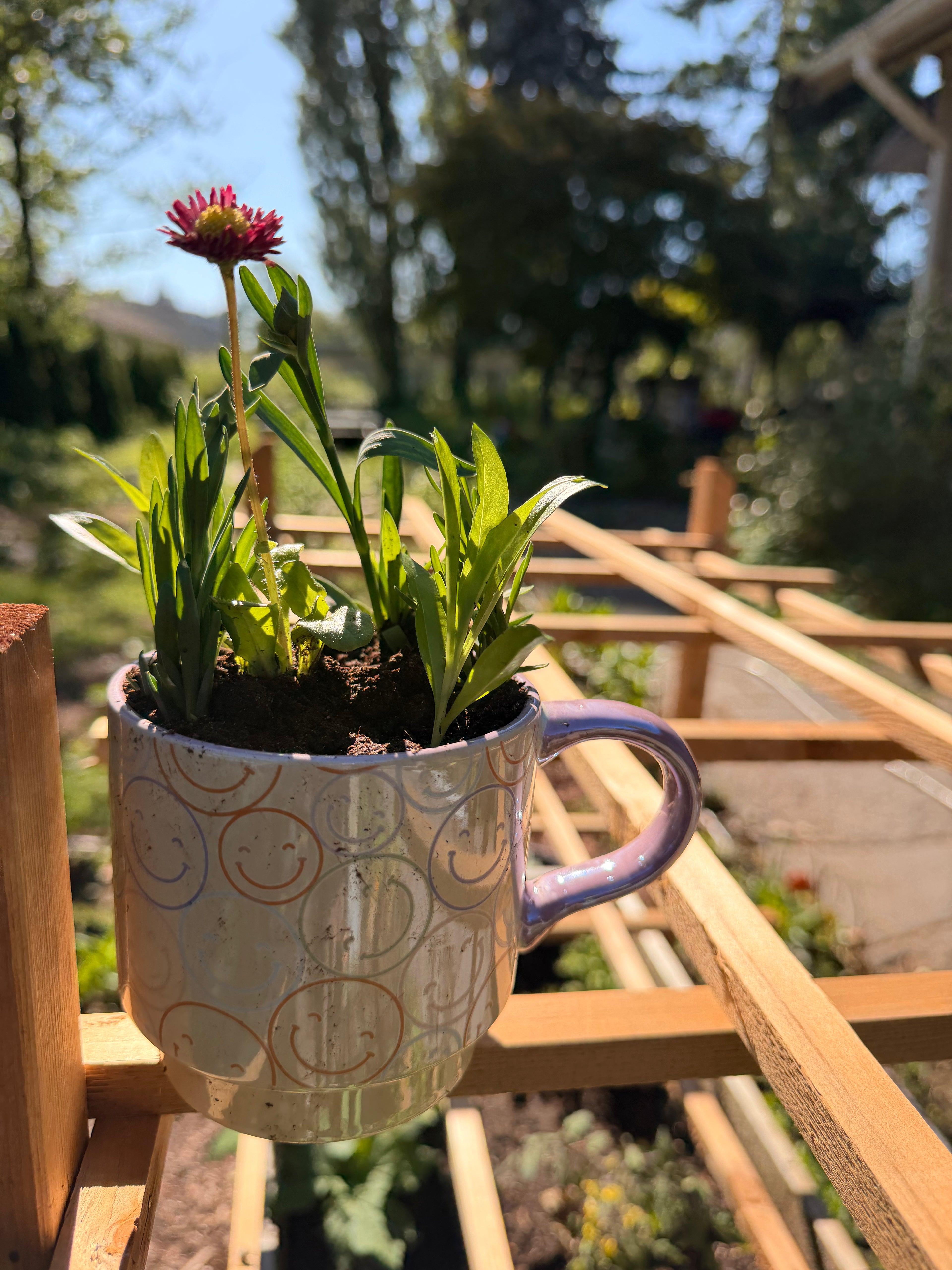 Plant Mug