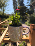 Plant Mug