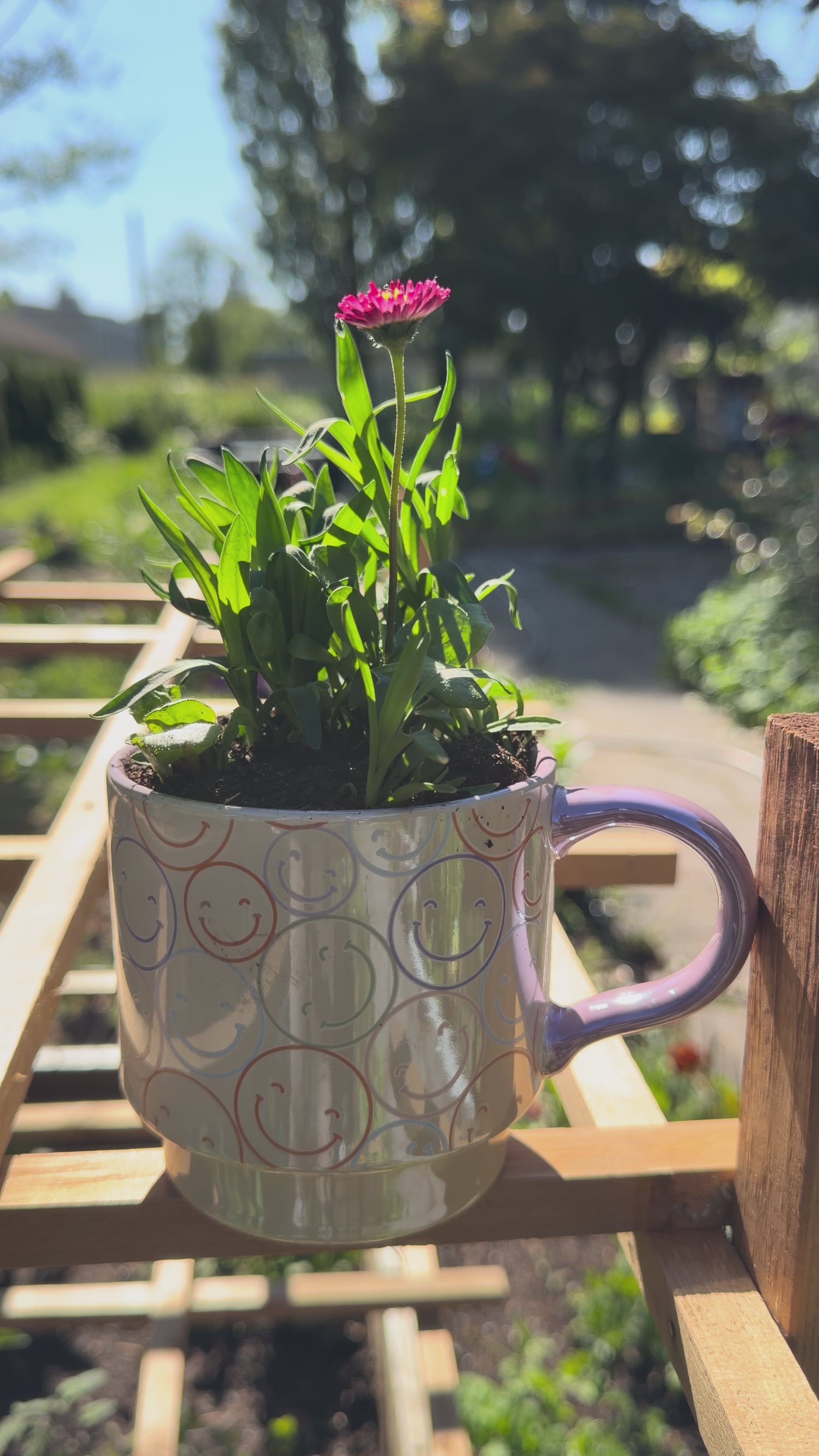 Plant Mug