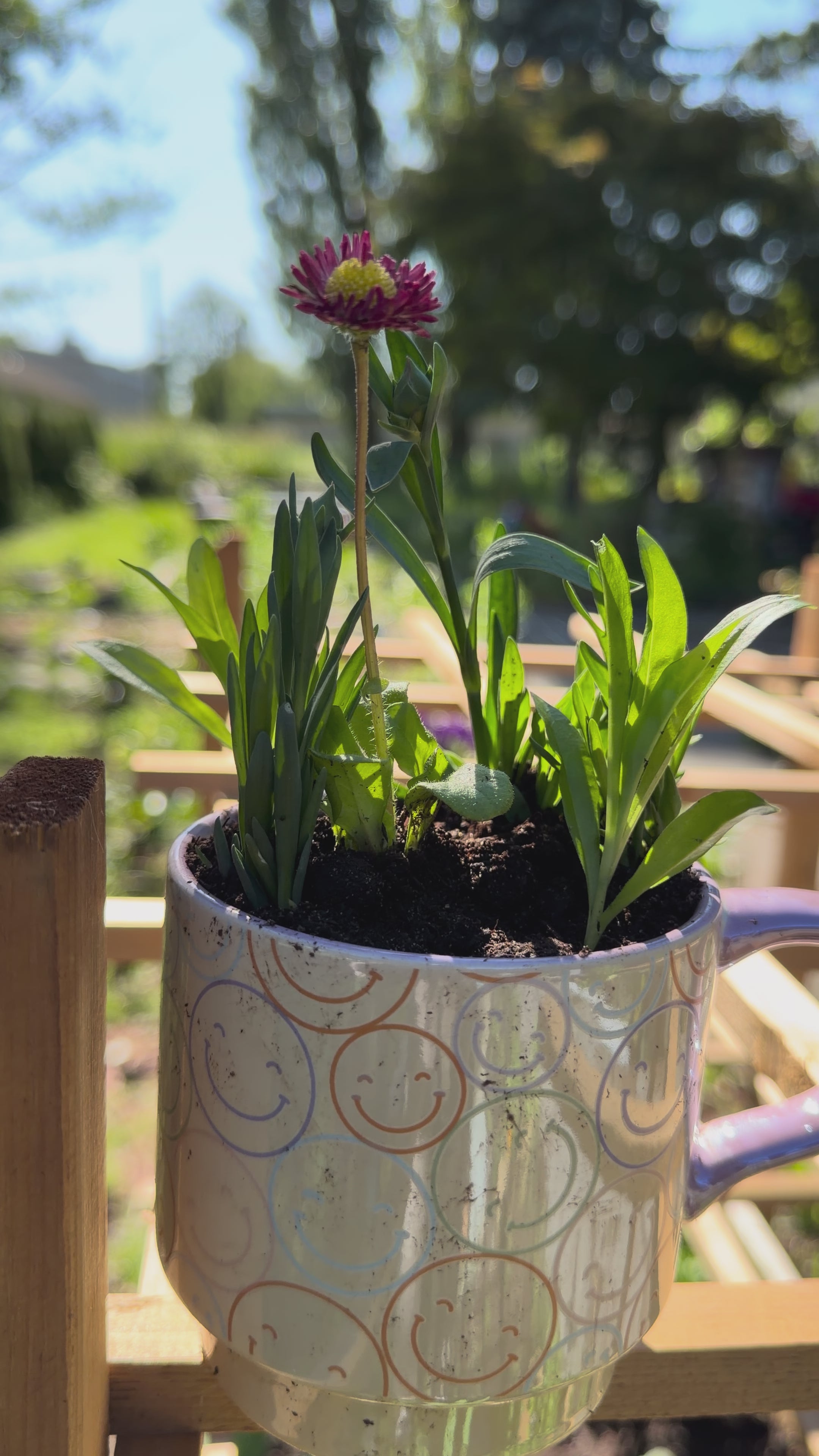 Plant Mug