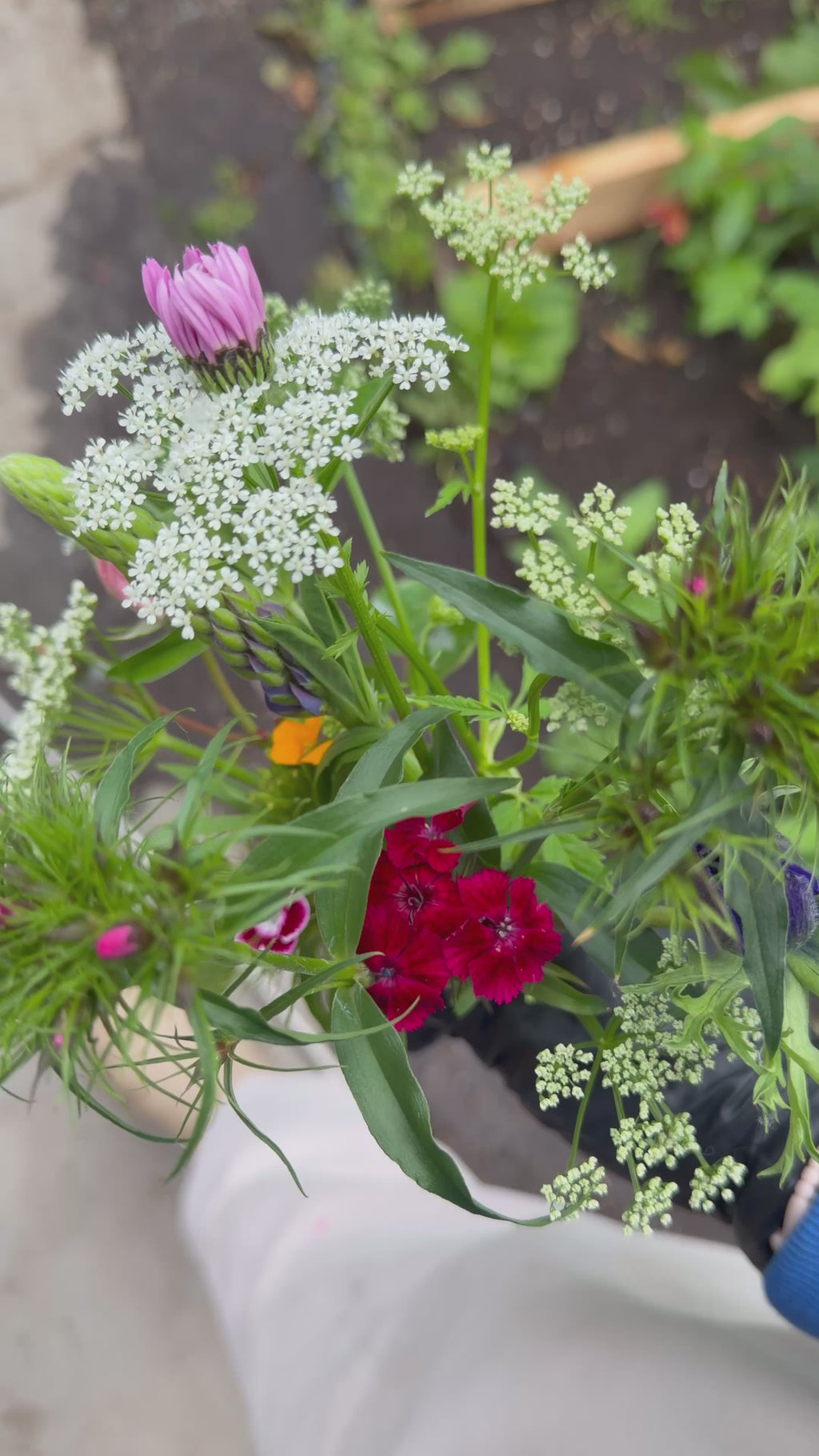 Flowers in a Jar - Large